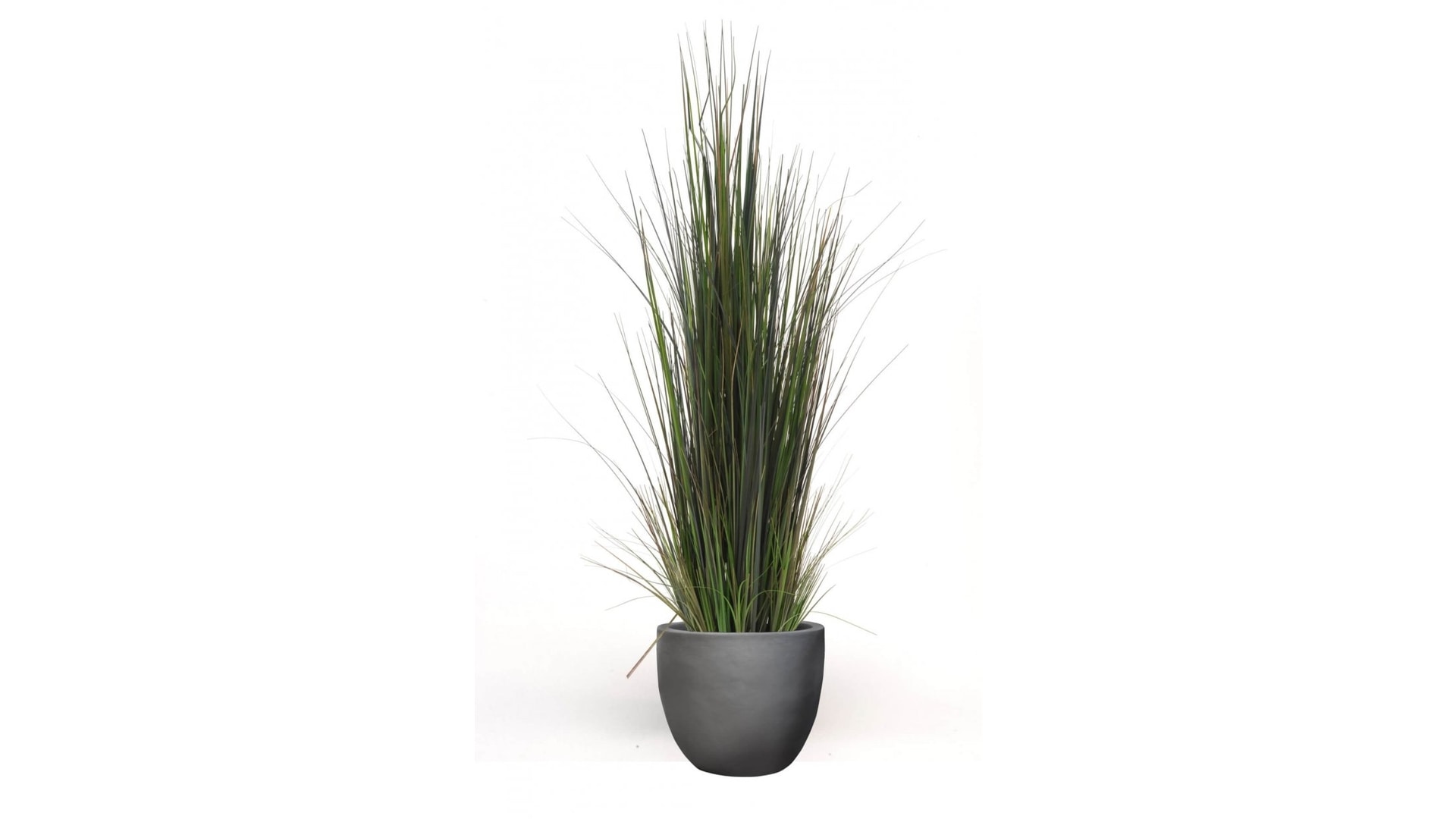 CJ Decor plantas,CJ Decor arvores,CJ Decor floresCJ Decor verde